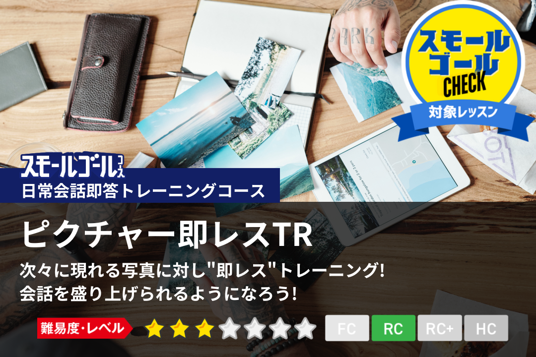 ピクチャー即レスTR